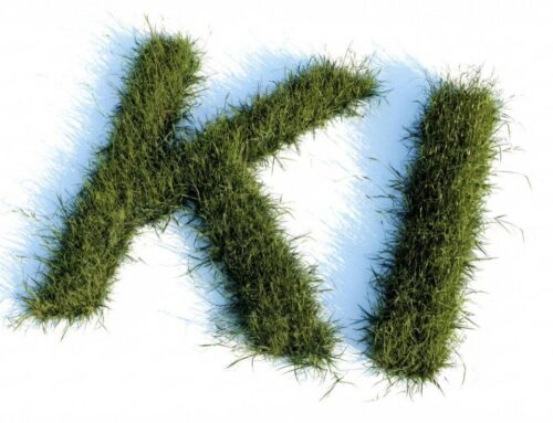 KI Agentur Mittelstand: Was dahintersteckt – und worauf es wirklich ankommt