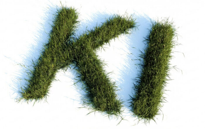 KI Agentur Mittelstand – Was steckt hinter KI-Beratung für KMU